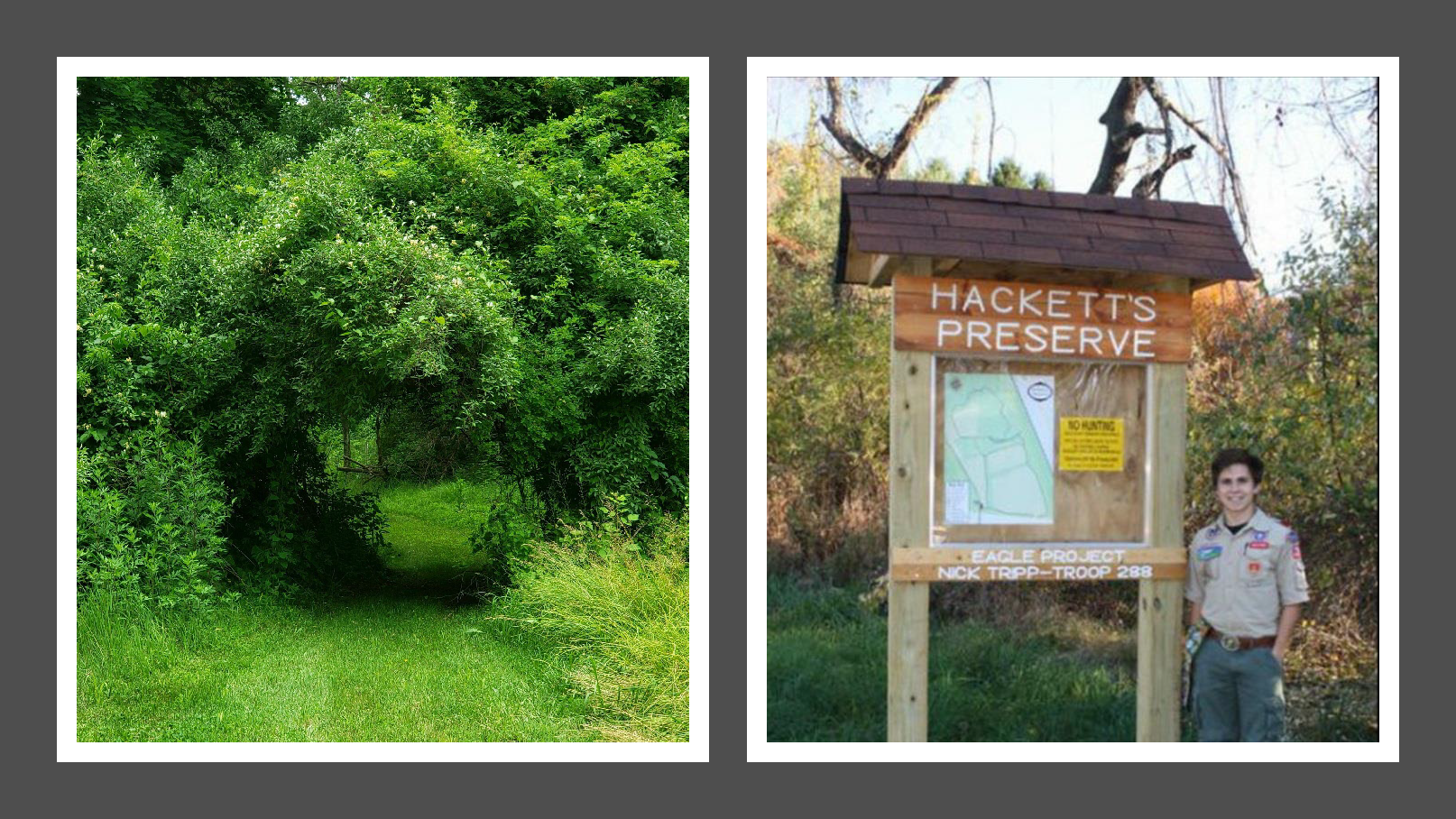 hacketts preserve