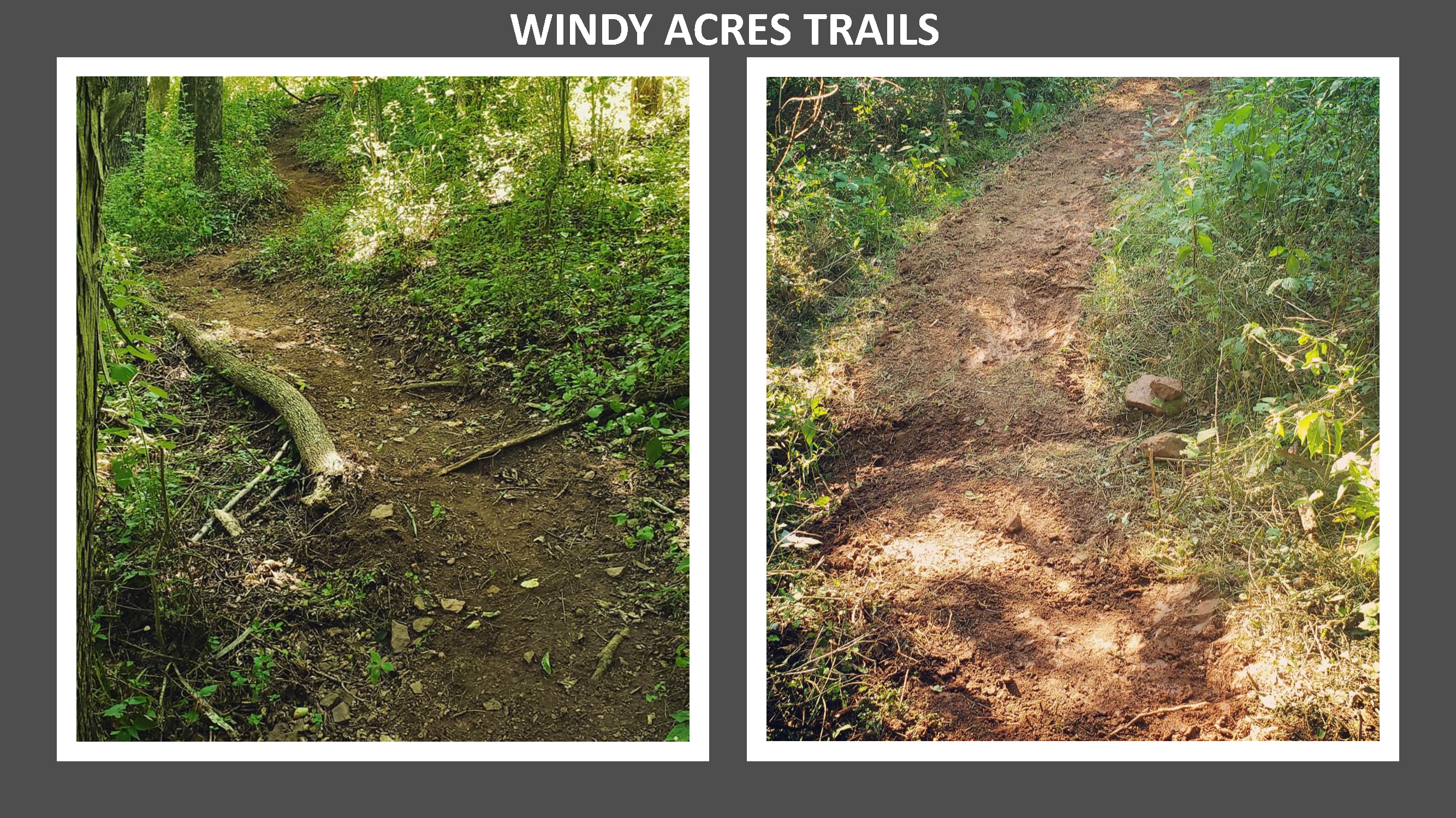 windy acres trails